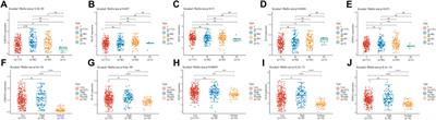 Prognostic and immune correlation evaluation of a novel cuproptosis-related genes signature in hepatocellular carcinoma